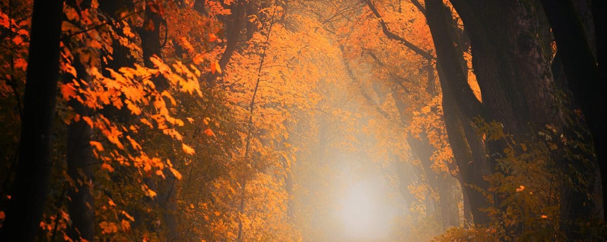 herfst in utrecht